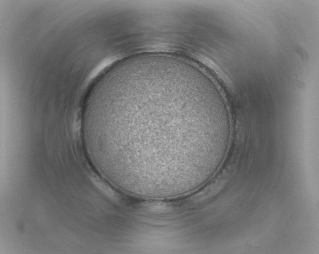 X0000115491450200911271339