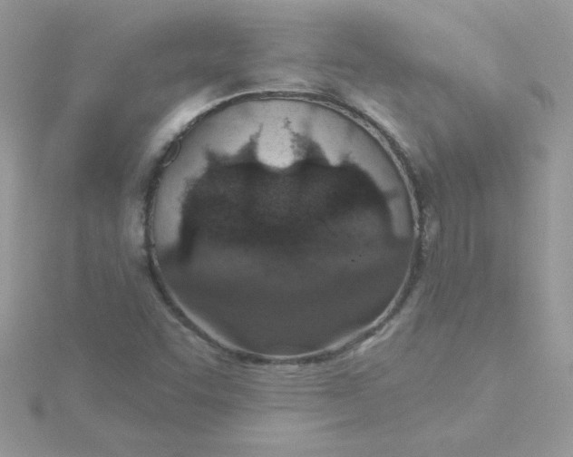 X0000115491455200911271339
