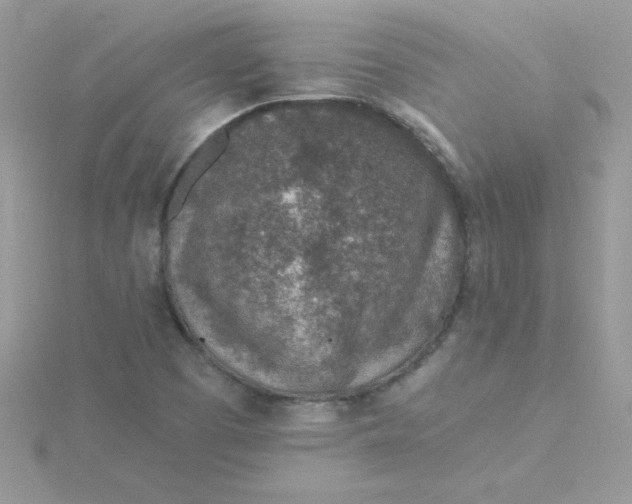 X0000115491457200911271339