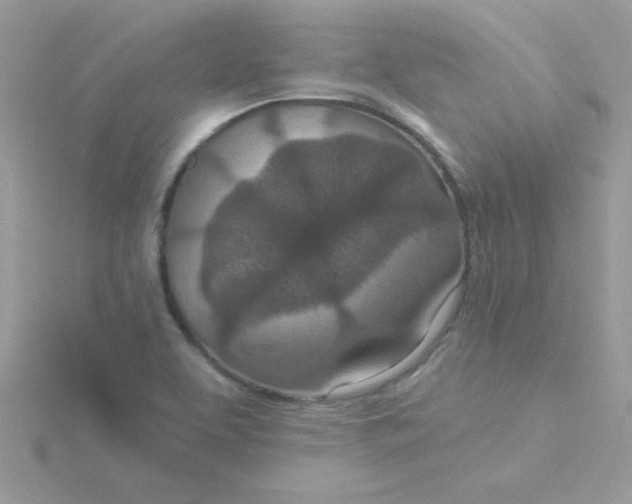 X0000115491463200911271339
