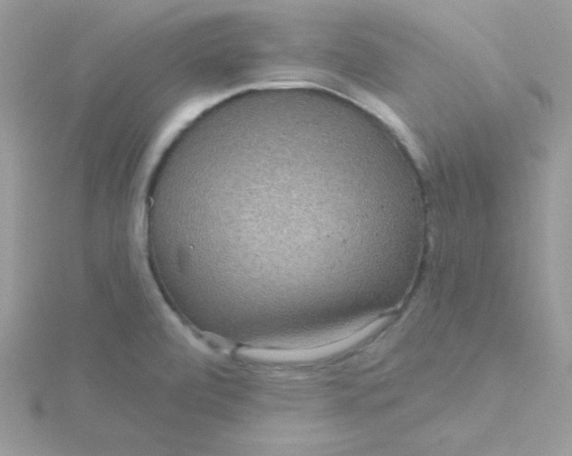 X0000115491472200911271339