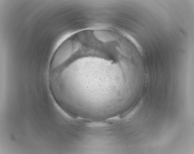 X0000115491487200911271338