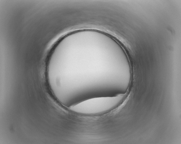 X0000115491502200911271338