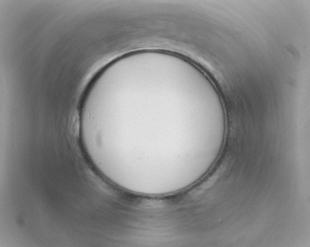 X0000115491509200911271338