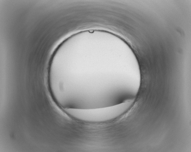 X0000115491518200911271338