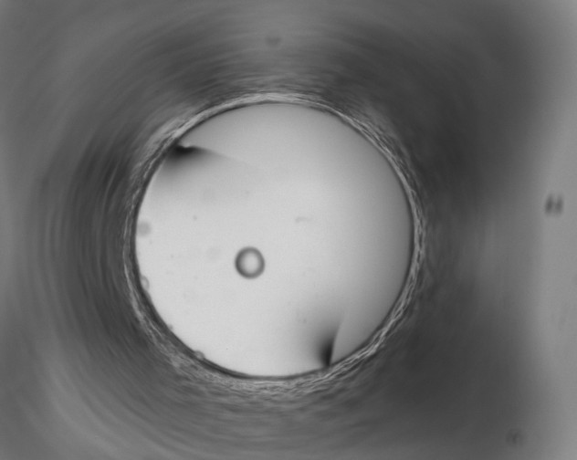 X0000115490001200912041026
