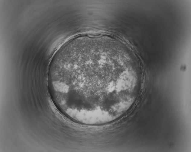 X0000115490002200912041026