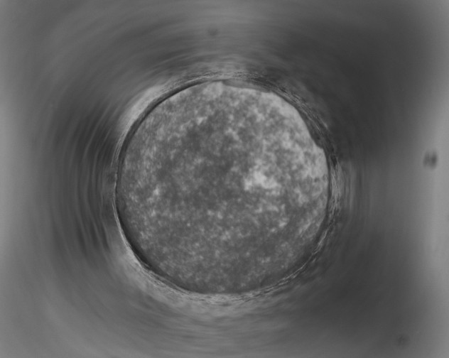 X0000115490003200912041026