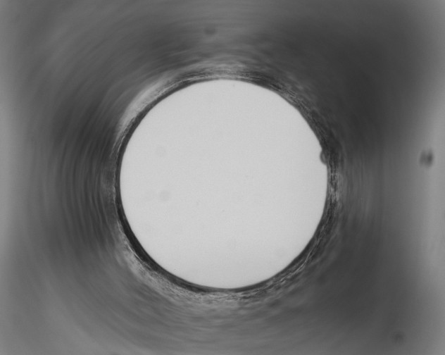 X0000115490004200912041026