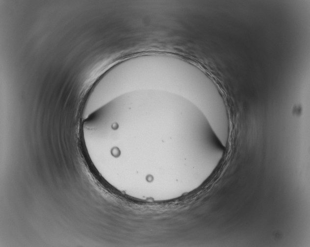 X0000115490005200912041026