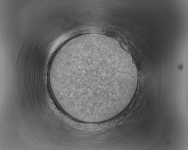 X0000115490006200912041026