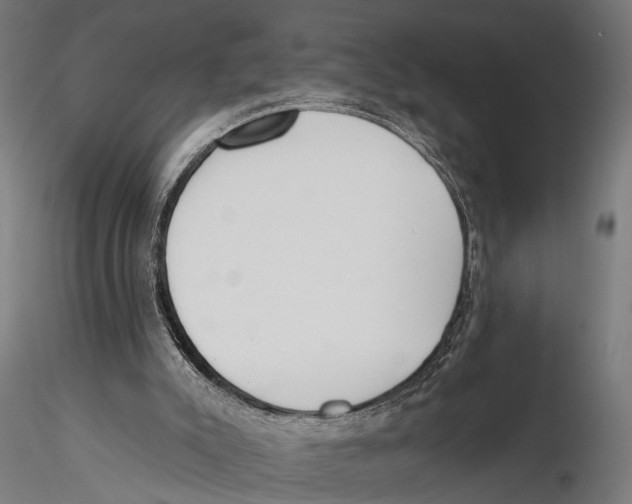 X0000115490007200912041026