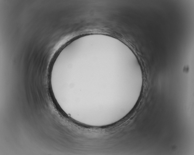 X0000115490008200912041026