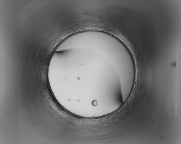X0000115490009200912041026