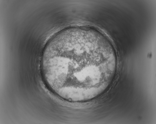 X0000115490010200912041026