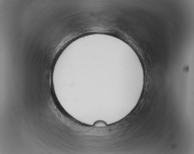X0000115490011200912041026