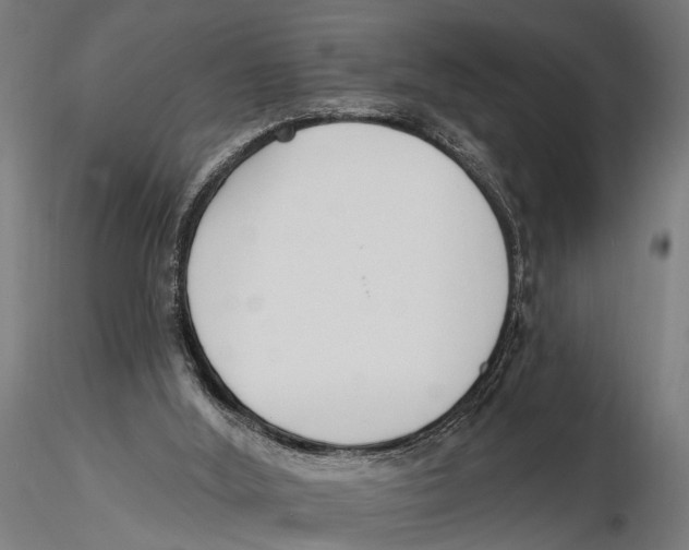 X0000115490012200912041026