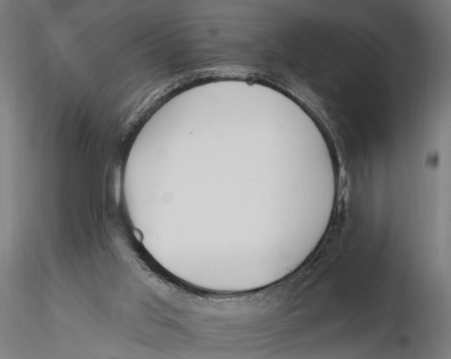 X0000115490013200912041026