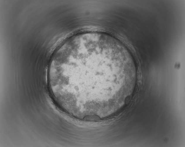 X0000115490014200912041026