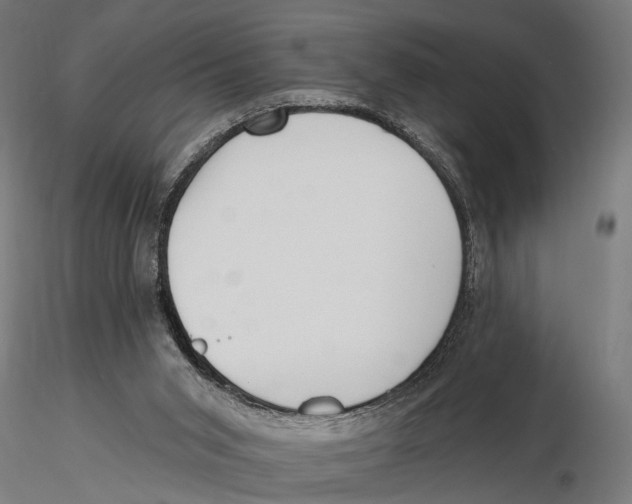 X0000115490015200912041026