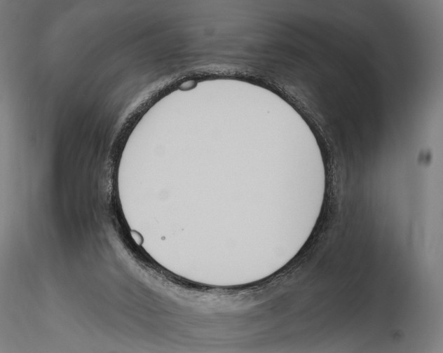 X0000115490016200912041026