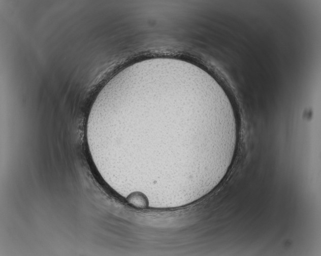 X0000115490017200912041026