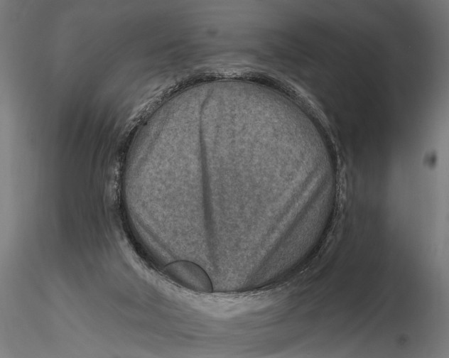 X0000115490018200912041026