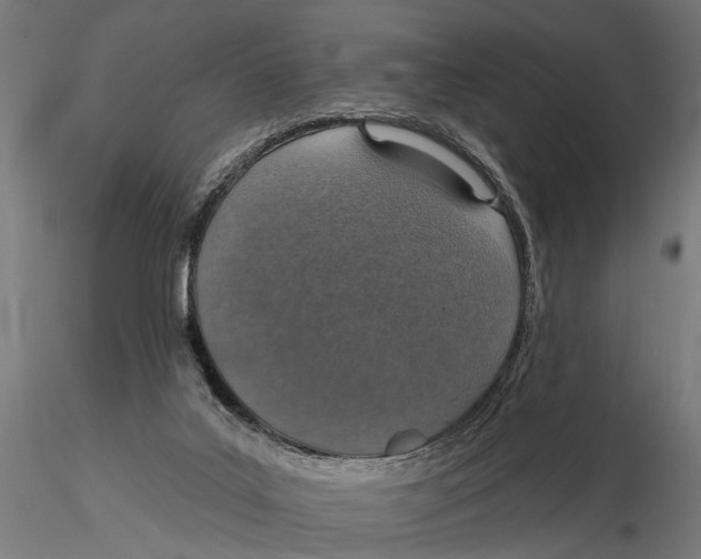 X0000115490019200912041026