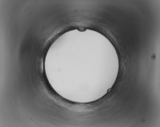 X0000115490020200912041026