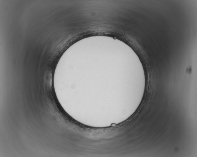 X0000115490021200912041026