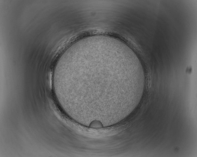 X0000115490022200912041026