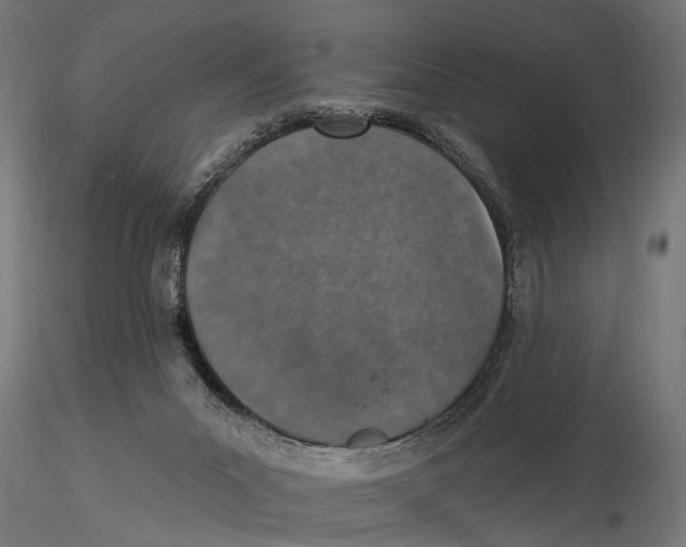 X0000115490023200912041026