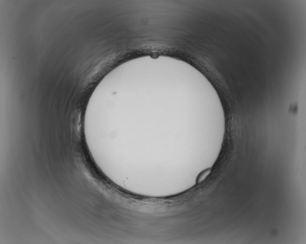 X0000115490024200912041026