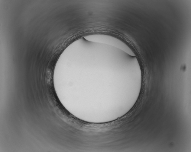 X0000115490025200912041026