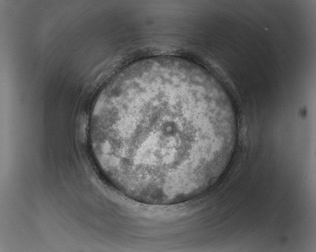 X0000115490026200912041026
