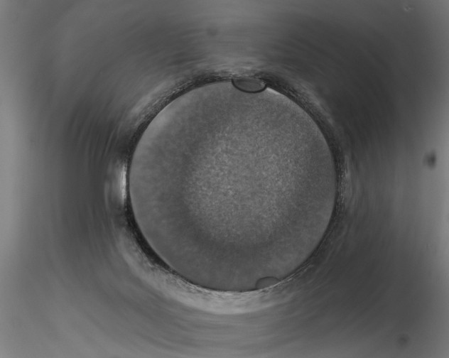 X0000115490027200912041025