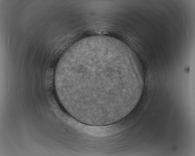 X0000115490030200912041025