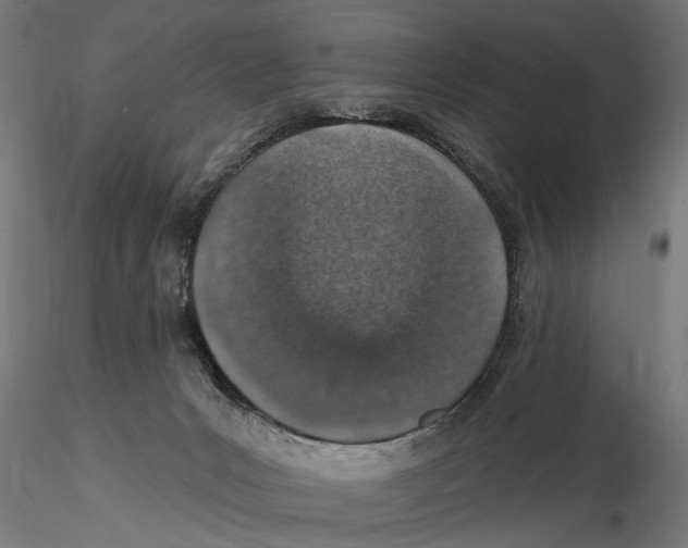 X0000115490031200912041025