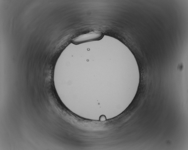 X0000115490032200912041025