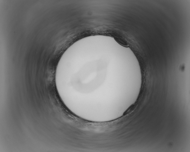 X0000115490033200912041025