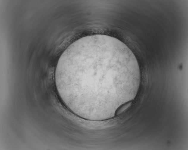 X0000115490034200912041025