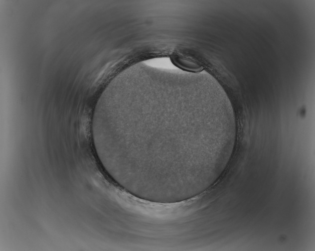 X0000115490035200912041025