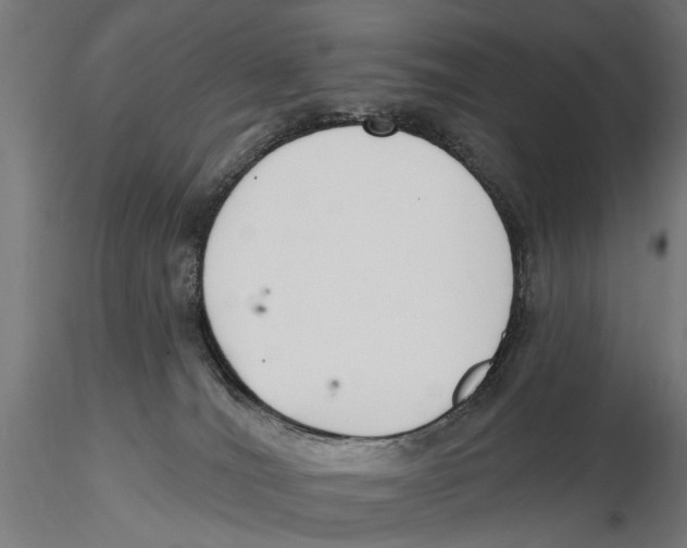 X0000115490036200912041025