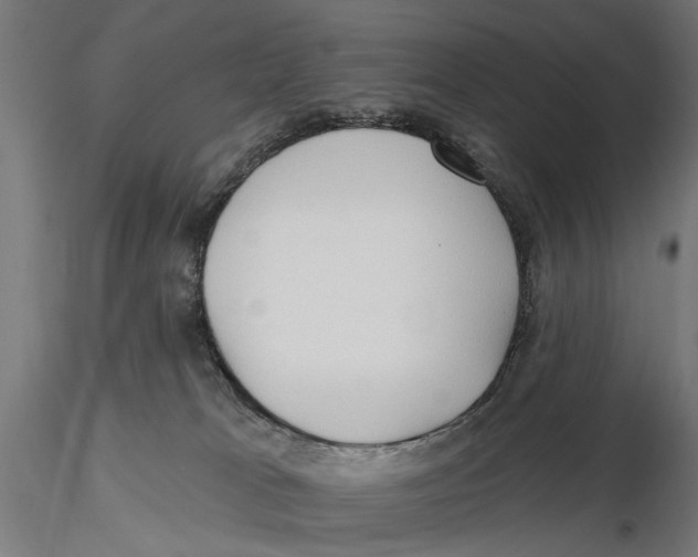 X0000115490037200912041025
