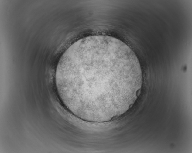 X0000115490038200912041025