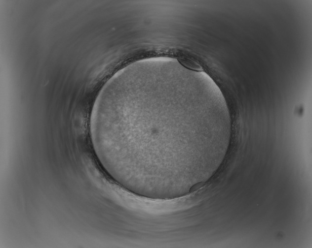 X0000115490039200912041025