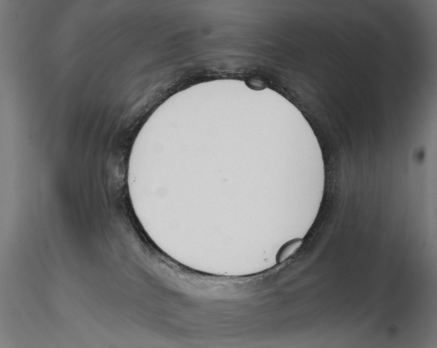 X0000115490040200912041025