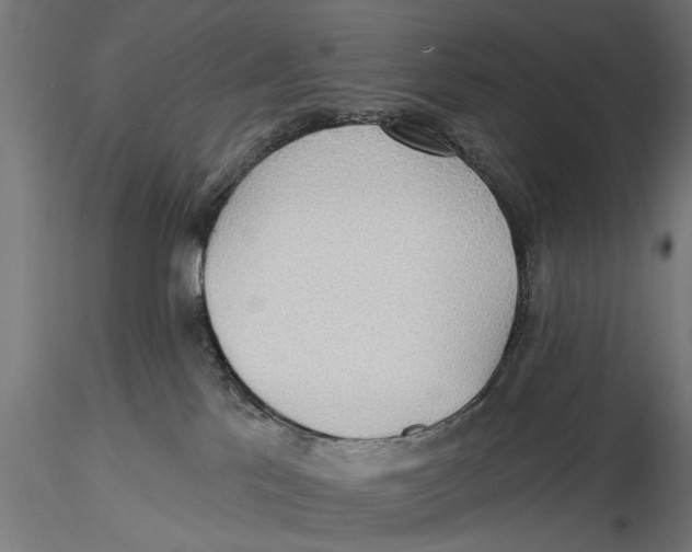 X0000115490041200912041025