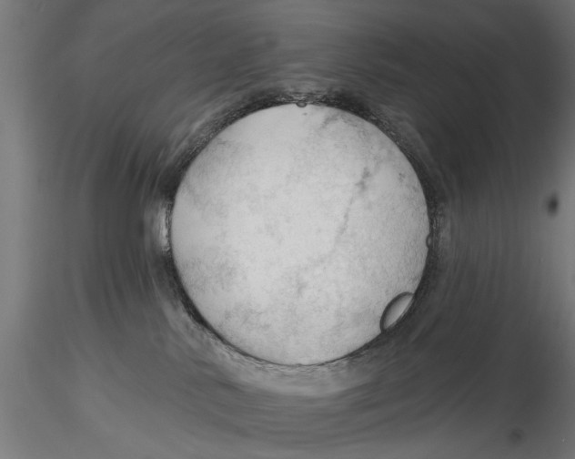 X0000115490042200912041025