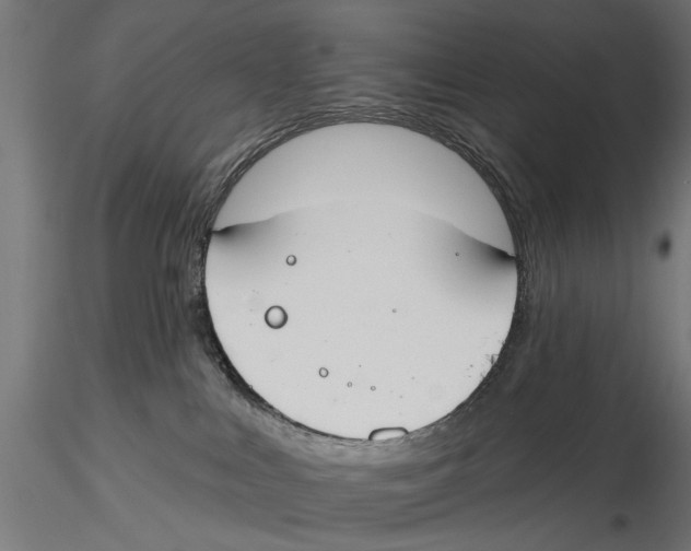 X0000115490043200912041025